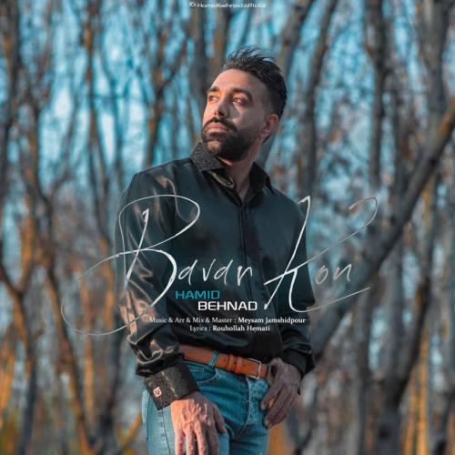 دانلود آهنگ باور کن حمید بهناد